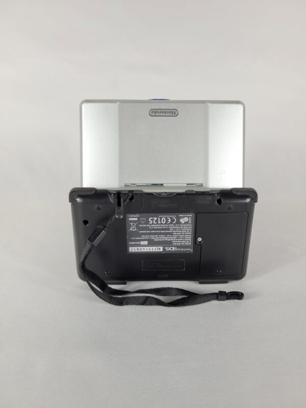 Nintendo DS (Console + Lader)